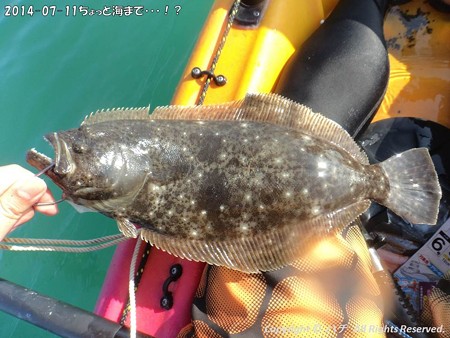 2014-07-11ちょっと海まで・・・!? (4)