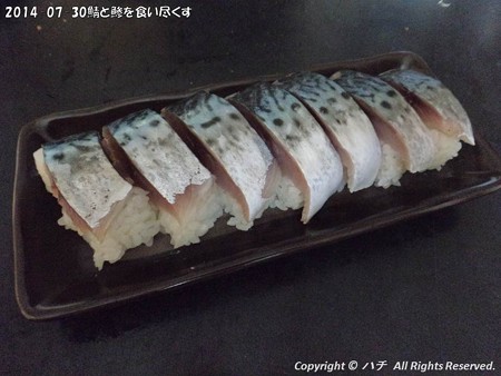 2014-07-30鯖と鯵を食い尽くす (1)