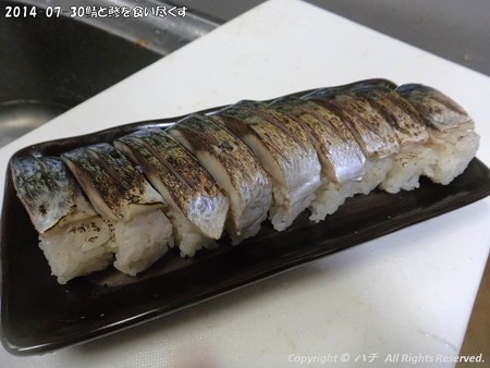 2014-07-30鯖と鯵を食い尽くす (2)