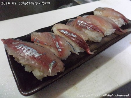 2014-07-30鯖と鯵を食い尽くす (3)