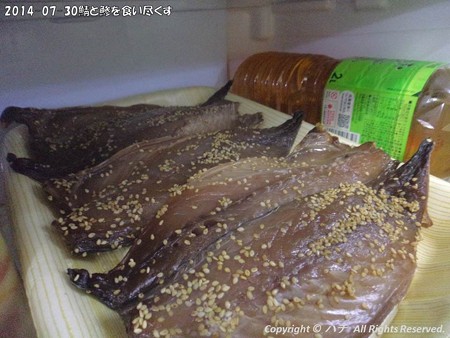2014-07-30鯖と鯵を食い尽くす (5)