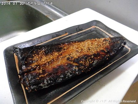 2014-07-30鯖と鯵を食い尽くす (6)