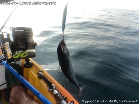 2014‐09‐6,7サバしか釣れないけど (5)