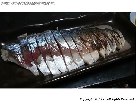 2014‐09‐6,7サバしか釣れないけど (18)