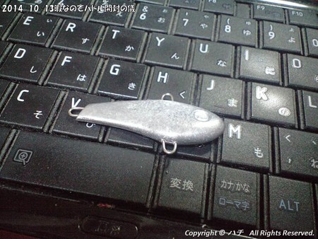 2014-10-13暇なのでパドル開封の儀 (6)
