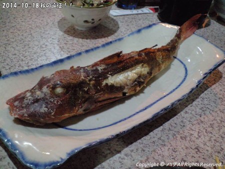 2014-10-18 秋の遠征!! (16)