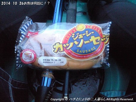2014-10-26お魚は何処に!? (2)
