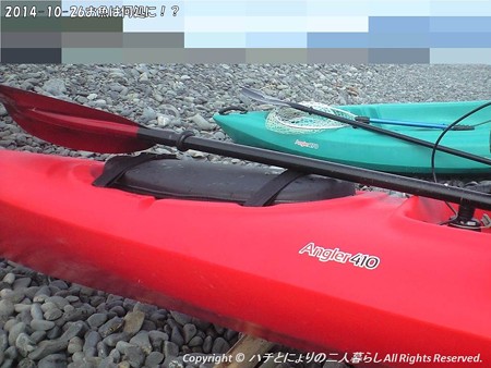 2014-10-26お魚は何処に!? (7)
