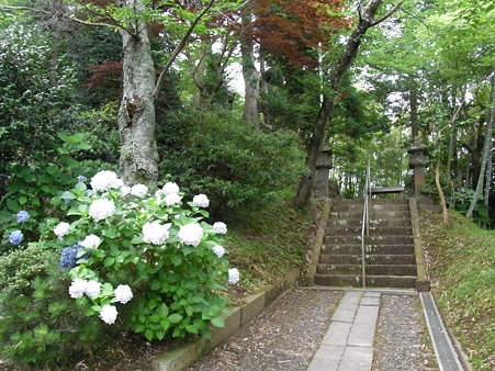 ちかくの神社