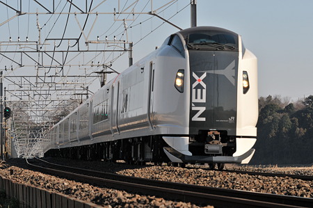 E259-1231