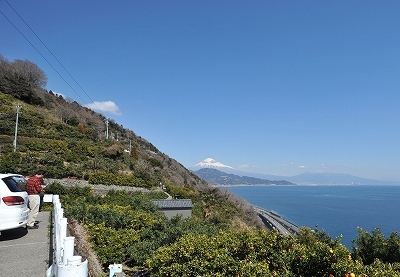 さった峠2