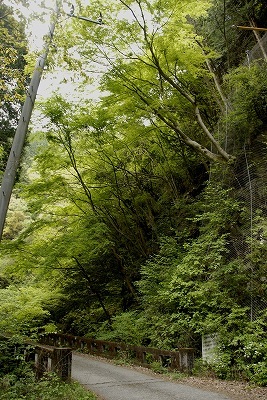 滑沢橋近く2