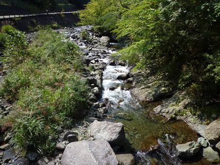 P1040323