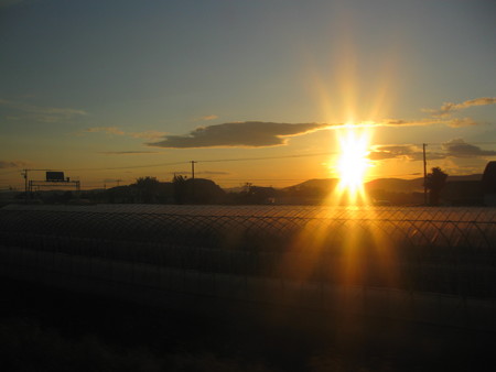 田んぼの夕陽