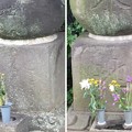 正覚院（三田）福島正利墓・福島正則供養塔