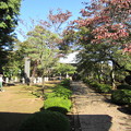 Photos: 豪徳寺／世田谷城（世田谷区）参道