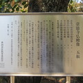 Photos: 豪徳寺／世田谷城（世田谷区）