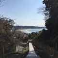 極楽寺坂切通（鎌倉市）成就院より由比ガ浜