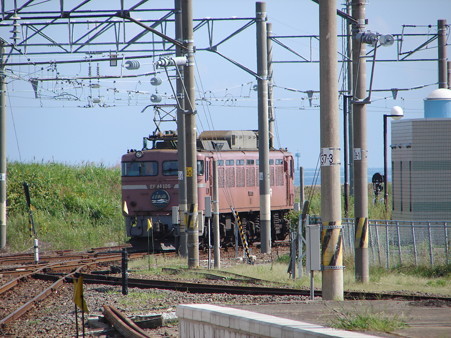DSC05024