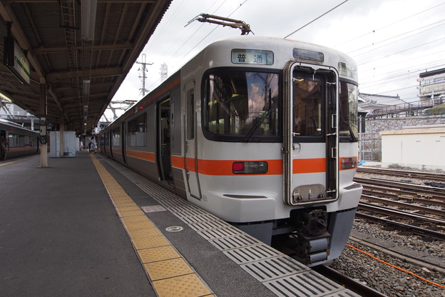 P8150939