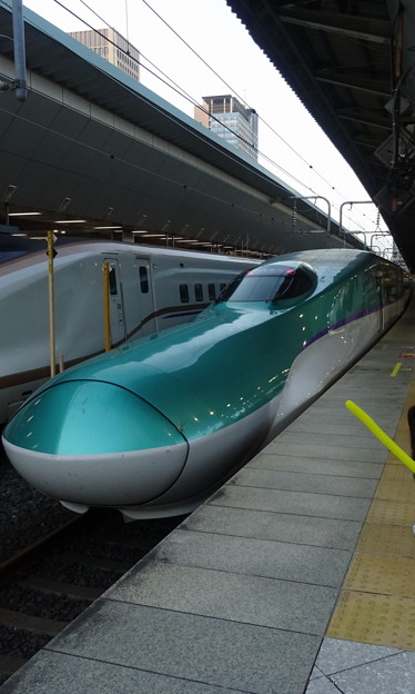JR北海道東北･北海道新幹線H5系｢はやぶさ29号｣