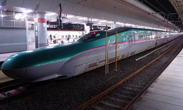 JR東日本東北･北海道新幹線E5系｢はやぶさ33号｣