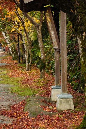 0911181032_DSC_0747