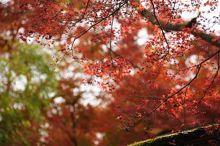 0911181051_DSC_0873