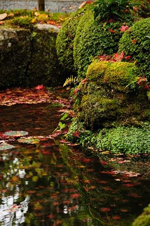 0911181450_DSC_1448