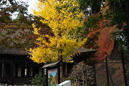 0911181617_DSC_1597