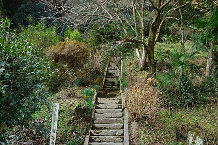 1001021040_DSC_6378