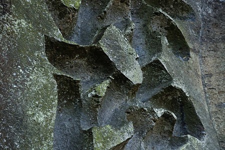 1001021042_DSC_6396