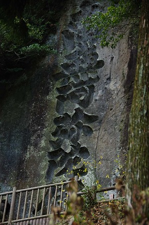 1001021050_DSC_6458