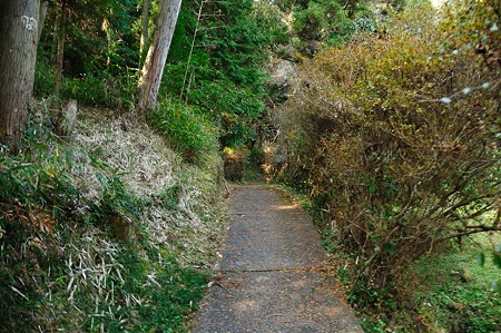 1001021256_DSC_6696