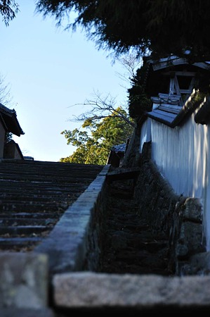 1001031555_DSC_8617