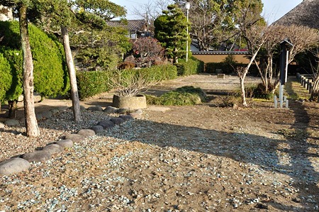 1001040858_DSC_9139