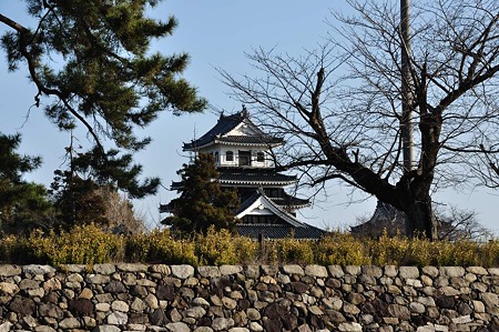 1001040913_DSC_9147
