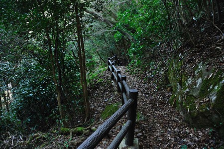 1001041329_DSC_9855
