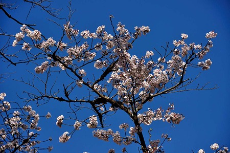 1004081643_DSC_2646