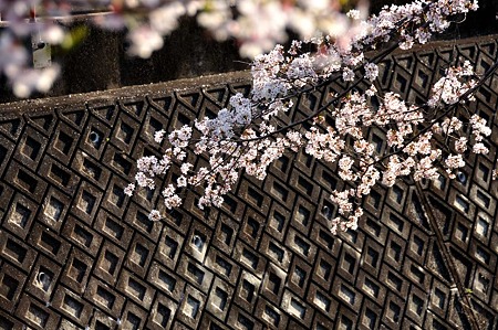 1004081652_DSC_2706