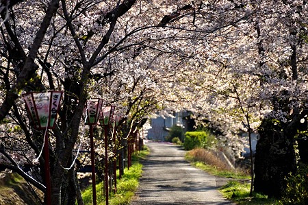 1004081653_DSC_2712