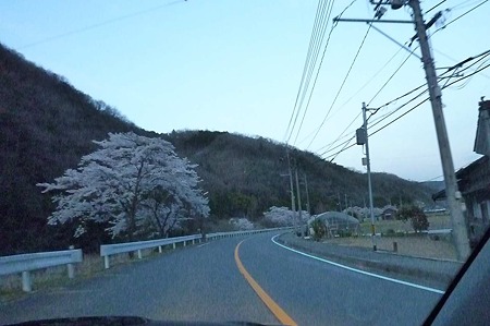 1004081830_P1640616