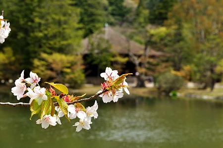 1005031048_DSC_3144