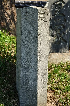 1005031432_DSC_3615