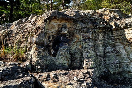 1005031542_DSC_3794