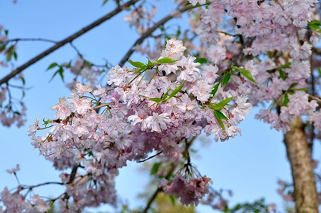 1005031626_DSC_3929