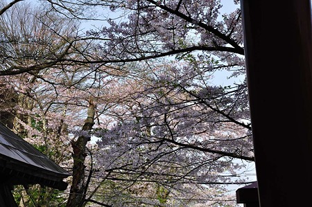 1005050839_DSC_5122