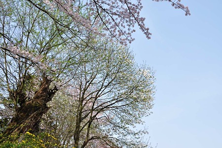 1005050839_DSC_5127