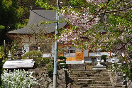 1005051310_DSC_5580