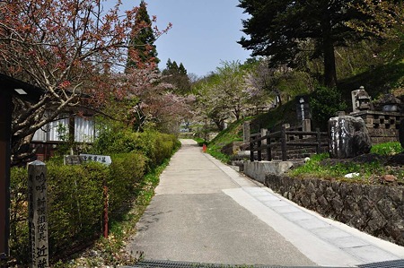 1005051312_DSC_5588